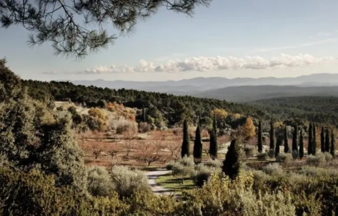 Photo Fodation des treilles plan large