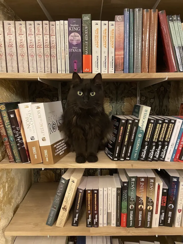 Intérieur de la librairie 3