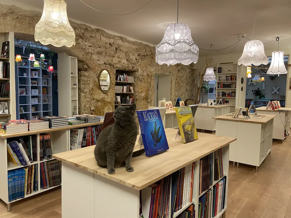 Intérieur librairie