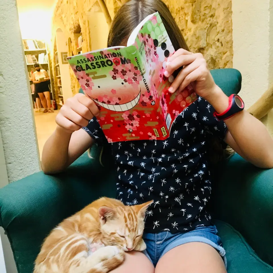 Intérieur de la librairie 2