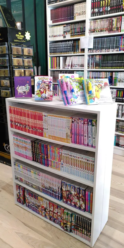 livres librairie