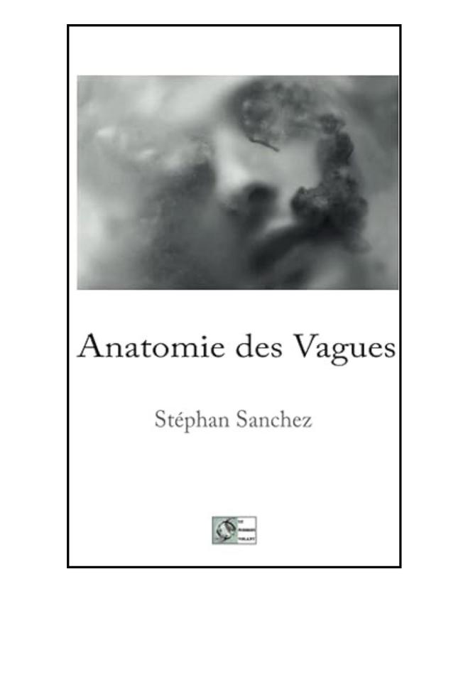 Couverture du livre Anatomie des Vagues de Stéphan Sanchez aux éditions du Poisson volant.
