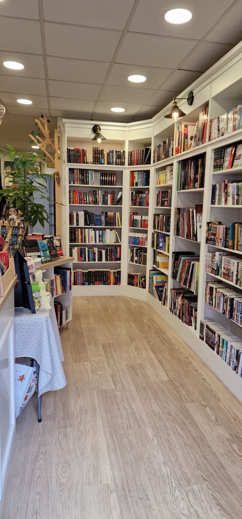 Intérieur de la librairie Le Pic Vert à Fuveau.