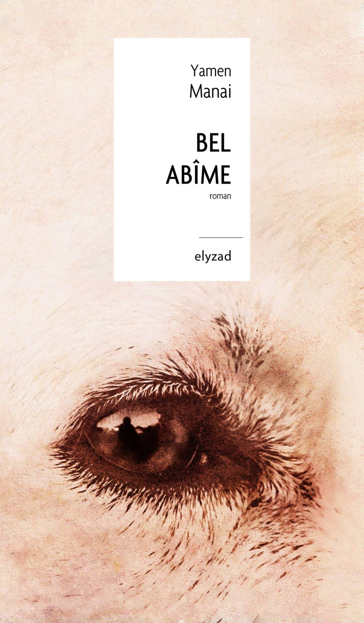 Couverture de l'ouvrage Bel abîme